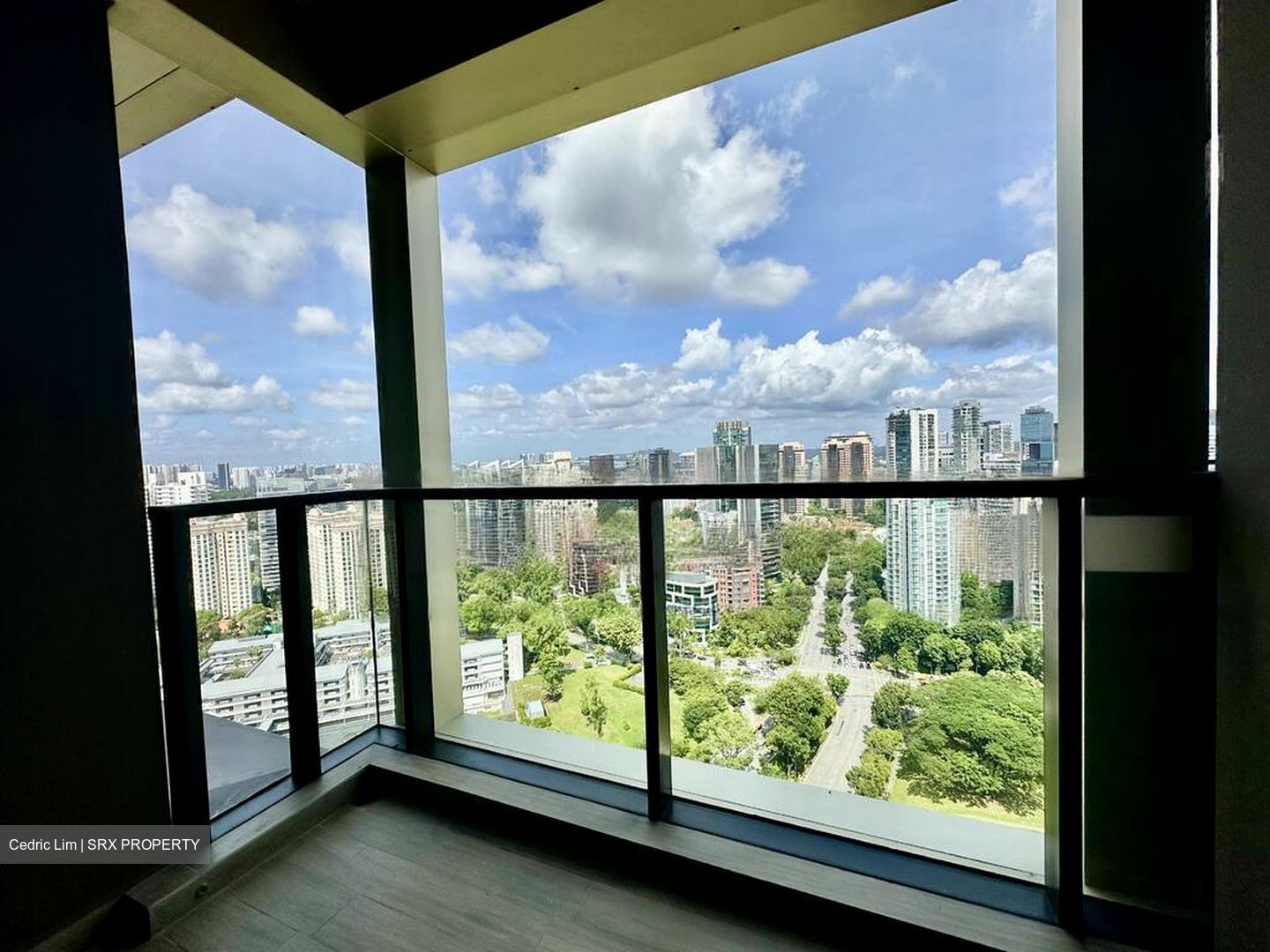 Irwell Hill Residences (D9), Apartment #455496801